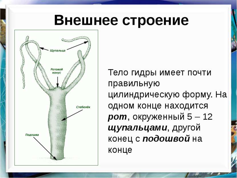 Кракен сайт вход